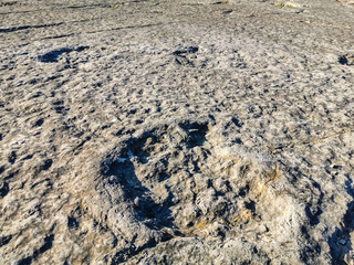 Natural monument of fossil dinosaur footprints in Serra D 'Aire in Pedreira do Galinha, in Portugal. A pedagogical circuit was created at the site, where visitors can see and touch the footprints