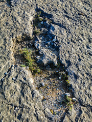Natural monument of fossil dinosaur footprints in Serra D 'Aire in Pedreira do Galinha, in Portugal. A pedagogical circuit was created at the site, where visitors can see and touch the footprints