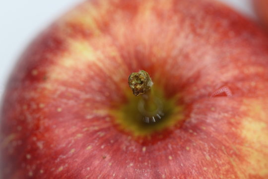 Roter Apfel mit Stiel Makro - Red Apple Stake Macro