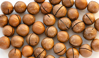 Macadamia nuts in the shell isolated on a white background close-up.