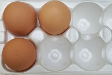 Chicken eggs in a tray, Empty cardboard tray with three eggs.Three of brown eggs.