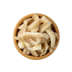 Raw Fresh Oyster Mushrooms, Pleurotus or Abalone Mushrooms