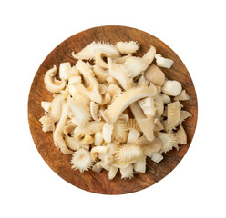 Raw Fresh Oyster Mushrooms, Pleurotus or Abalone Mushrooms