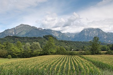 Fototapeta na wymiar countryside landscape near the mountains