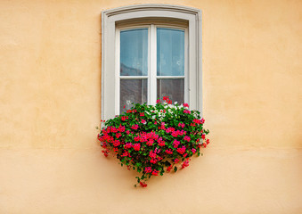 Fototapeta na wymiar White old wooden window with beautiful flowers