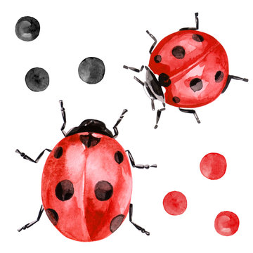 Watercolor illustration of ladybug in red color with black ink spots