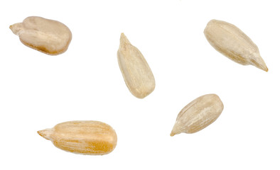 Sunflower seeds isolated on white background, top view