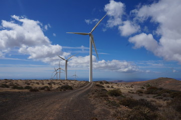 Lanzarote