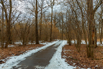 Picturesque view of the winter city Park . Moscow, Russia.