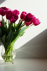 Vivid bouquet of purple tulips in Still Life in a glass vase on white wooden chair. White interior.