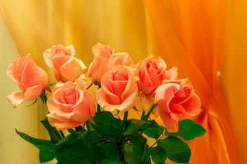 A bouquet of roses is on the background of curtains.
