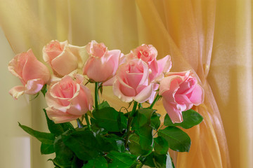 A bouquet of roses is on the background of curtains.