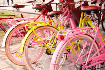Pink bikes with brown baskets standing in a row.