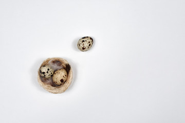 Quail eggs in a nest on a white wooden background. Easter concept. Place for an inscription. The...