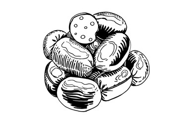 Graphical hand-drawn sausages isolated on white background, vector illustration