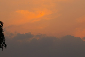 orange and black clouds