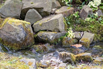 Landscape of stream and rocks 
