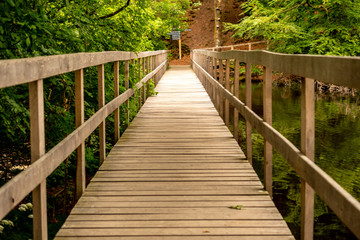 Fototapeta na wymiar wooden bridge in forest