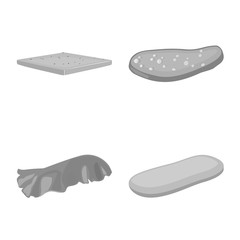 Vector design of cuisine and lunch sign. Set of cuisine and breakfast vector icon for stock.