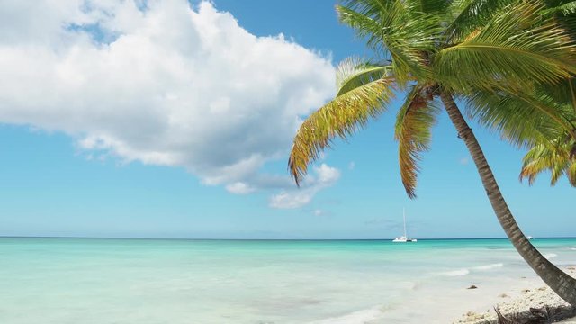 Palm tree leaves and sky landscape copy space. Bali island sunny day on paradise palm beach.