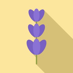 Botany lavender icon. Flat illustration of botany lavender vector icon for web design