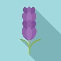 Organic lavender icon. Flat illustration of organic lavender vector icon for web design