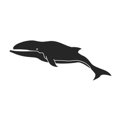 Whale humpback vector icon.Black vector icon isolated on white background whale humpback .