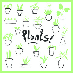 Set of indoor plants, indoor plants, vector, greens