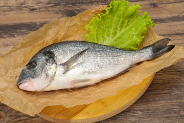 Raw Dorada fish  for cooking