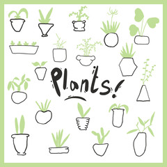 Set of indoor plants, indoor plants, vector, greens