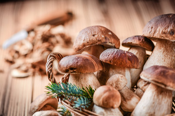 Mushroom Boletus in wooden wicker basket. Autumn Cep Mushrooms. Boletus edulis over Wood Background, close up on  rustic table. Cooking delicious organic deliciou food mushroom.
