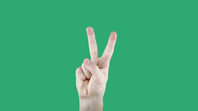 Male hand counting from one to five isolated on green screen. Man shows fist fist, then one, two, three, four, five fingers. Math concept.