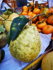  warm sunny day in sorrento