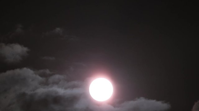 il Sole ripreso con filtro solare