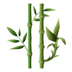 Bamboo plant icon. Cartoon of bamboo plant vector icon for web design isolated on white background