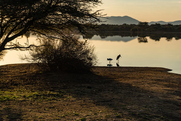 Namibia, Africa. Southeast of Omaruru. Winter sunrise over a waterhole with wild birds and...