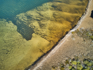 Marsh and reeds lead up to the shoreline of Barnegat Bay as seen from an aerial drone image on New Jersey Island Beach State Park