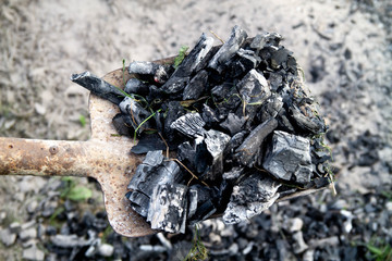 Collect coal with a shovel from the ground