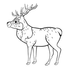 Coloring page outline of cute cartoon deer. Vector image isolated on white background. Coloring book of forest wild animals for kids