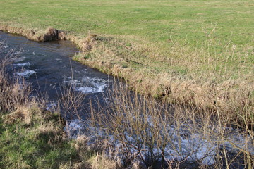 Bachlauf der Trubach in Oberfranken im Frühling