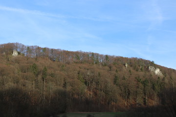 Fototapeta na wymiar Felsen im oberfränkischen Wald im Frühling