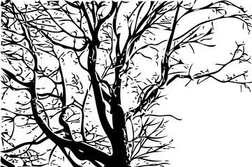 vector illustration of a tree