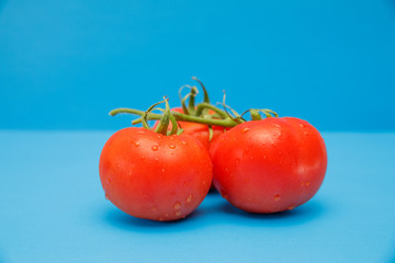 fresh tomatoes on blue background