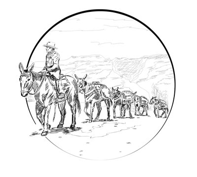 caravan with mules