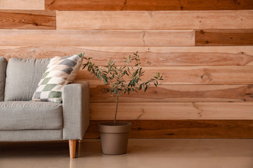 Fototapeta na wymiar Comfortable sofa and houseplant near wooden wall