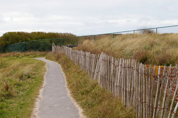 Fototapeta na wymiar walking path in the dunes with wooden fence