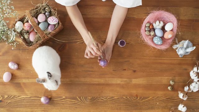 Top view of adorable bunny sitting on wooden table and female hands painting on Easter egg
