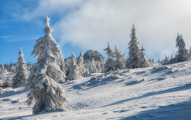 Karkonosze, Szrenica © Małgorzata