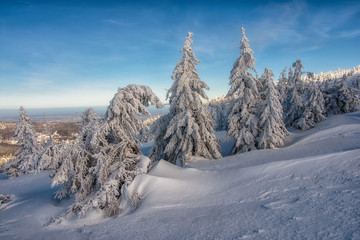 Karkonosze, Szrenica © Małgorzata