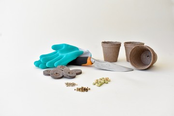 Seeds and gardening equipment for planting spring and summer flowers and vegetables